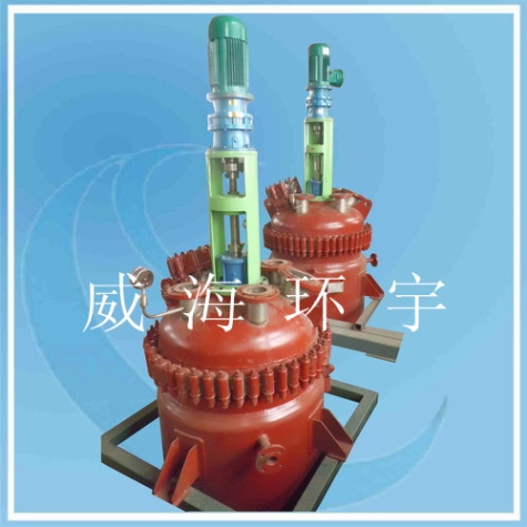 天津500L Mechanical Seal Reactor 