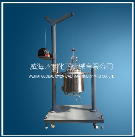 天津10L Lifting Reactor without Mixer