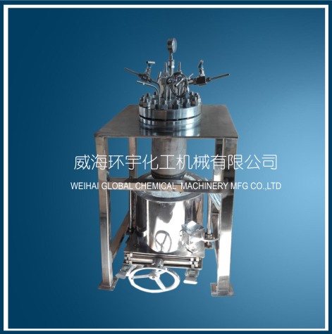 天津5L Hastelloy Reactor with Removable Heater