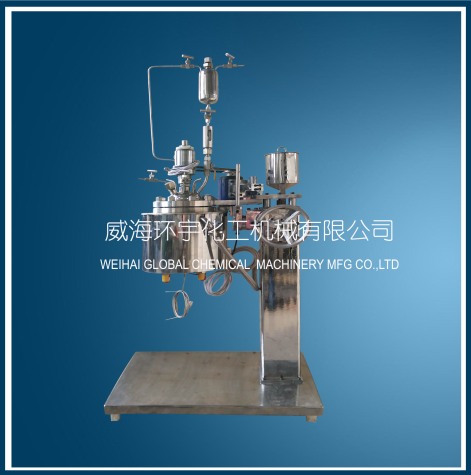 天津2L Vacuum Distillation Reactor with Lifting Device