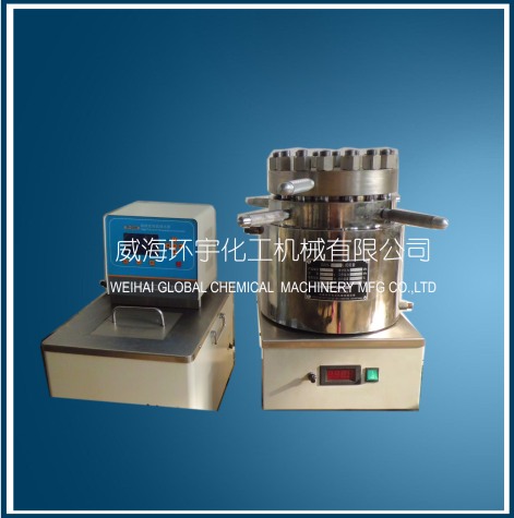 天津实验室高压反应容器配高温循环器