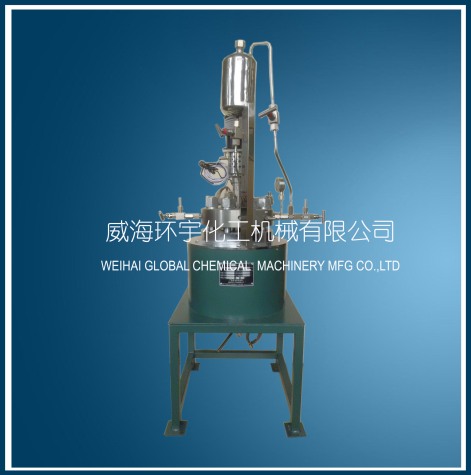 天津Small Reactor with Feeding Tank